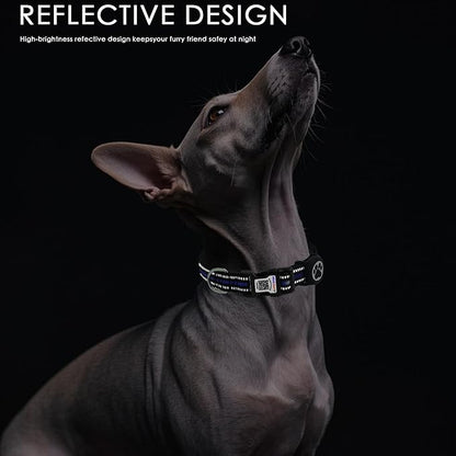Airtag Dog Collar with QR Code Tag - Reflective Adjustable Nylon Collar, Quick Release Buckle for Small Medium Large Dogs, Comfortable Padded Lining (Blue, L)