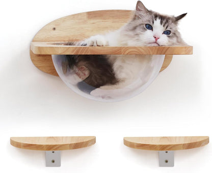 FUKUMARU Cat Wall Furniture Set, Transparent Capsule Kitten Walls Shelves with 2 PCS Pedals - Premium Kitty Bed for Sleeping, Playing, Climbing, and Lounging - Easily Holds Up to 35 Lbs