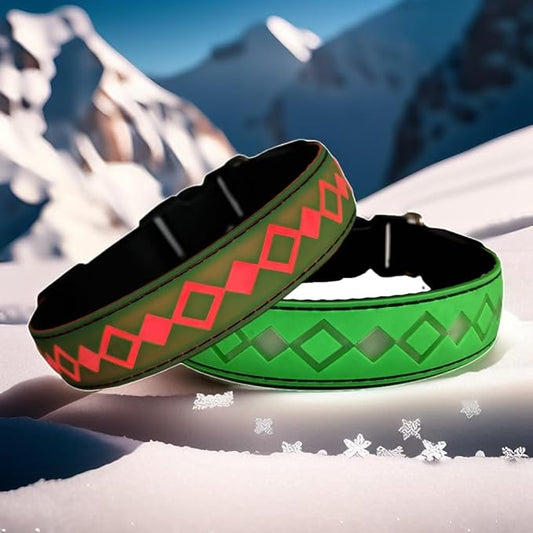 LED Dog Collar with AirTag Holder and Custom ID Tag, 15 Light Modes, Waterproof, Multiple Colors (GREEN, L(15.7-19.7"))