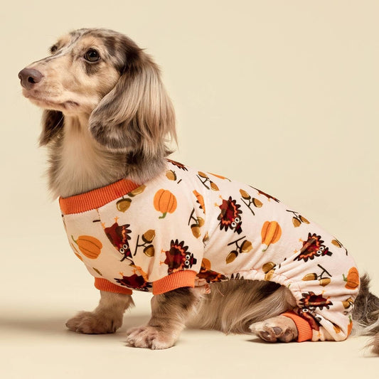 Fitwarm Thanksgiving Turkey Dog Pajamas, Funny Dog Winter Clothes for Small Dogs Girl Boy, Pet Jumpsuit, Cat Onesie with Feet, Lightweight Velvet, Orange, Medium