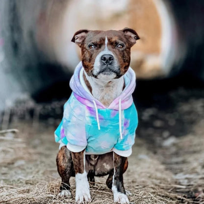 Spark Paws Dog Hoodie – Premium Dog Sweater for Small, Medium, and Large Dogs | Warm Outfits for French Bulldogs, Pitbull, Puppy, Winter Jacket Alternative - 90s Retro Sky Dye - 4XL