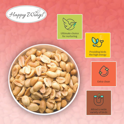 Shelled Peanuts Seeds Wild Bird Food - 5 Pounds I No Grow Seed I Bird Seed for Wild Birds