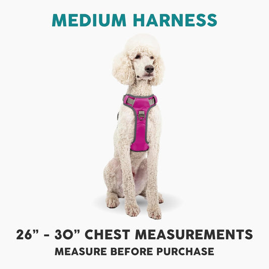 Embark Adventure Dog Harness, Reflective Trim No Pull Dog Harness Medium Sized Dogs - Military Grade Nylon, Front Clip with Gel Lined Handle.