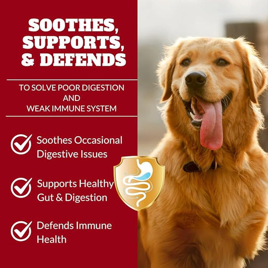 Dog Probiotics Chews Supplement – Digestive Support & Gut Health for Dogs, Helps Loose Stool, Gas & Sensitive Stomachs, Supports Itchy Skin, Allergy & Immune Health – 120 Ct