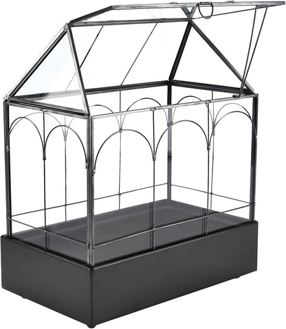 HighFree Glass Terrarium with Metal Tray, Glass Greenhouse Terrarium Kit for Succulents, Cacti, Snails, Spiders, and Miniature Reptiles, Black (Large-9.45" L x 5.7" W x 11.8" H)