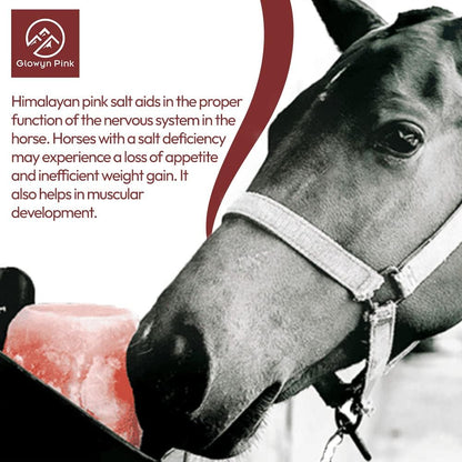 Himalayan Mineral Salt Block on Rope Pack of 4 (3lbs each) – 100% Organic Pink Salt Lick for Horses and Livestock. Deer Attractant with No Harmful Elements.