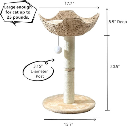 SHENGOCASE Small Cat Tree Tower with Large 17.7" Rattan Wicker Basket, Handwoven Nest Basket Bed, Window Perch for Large Cats up to 25LBS