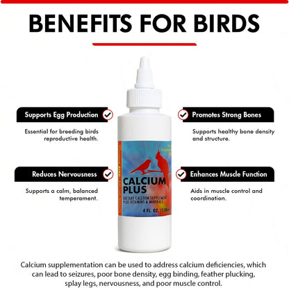 Morning Bird Calcium Plus Liquid Supplement for Birds - Liquid Calcium Formula with Magnesium and Vitamin D3 Calcium Supplement for All Birds – 4 Fl Oz
