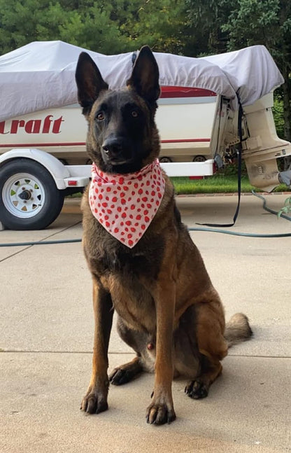 Lionet Paws Dog Bandana,Fabric Pink Dogs Kerchief for Small Medium Large Dogs,Dog Cotton Triangle Bibs Scarf for Girl Boy