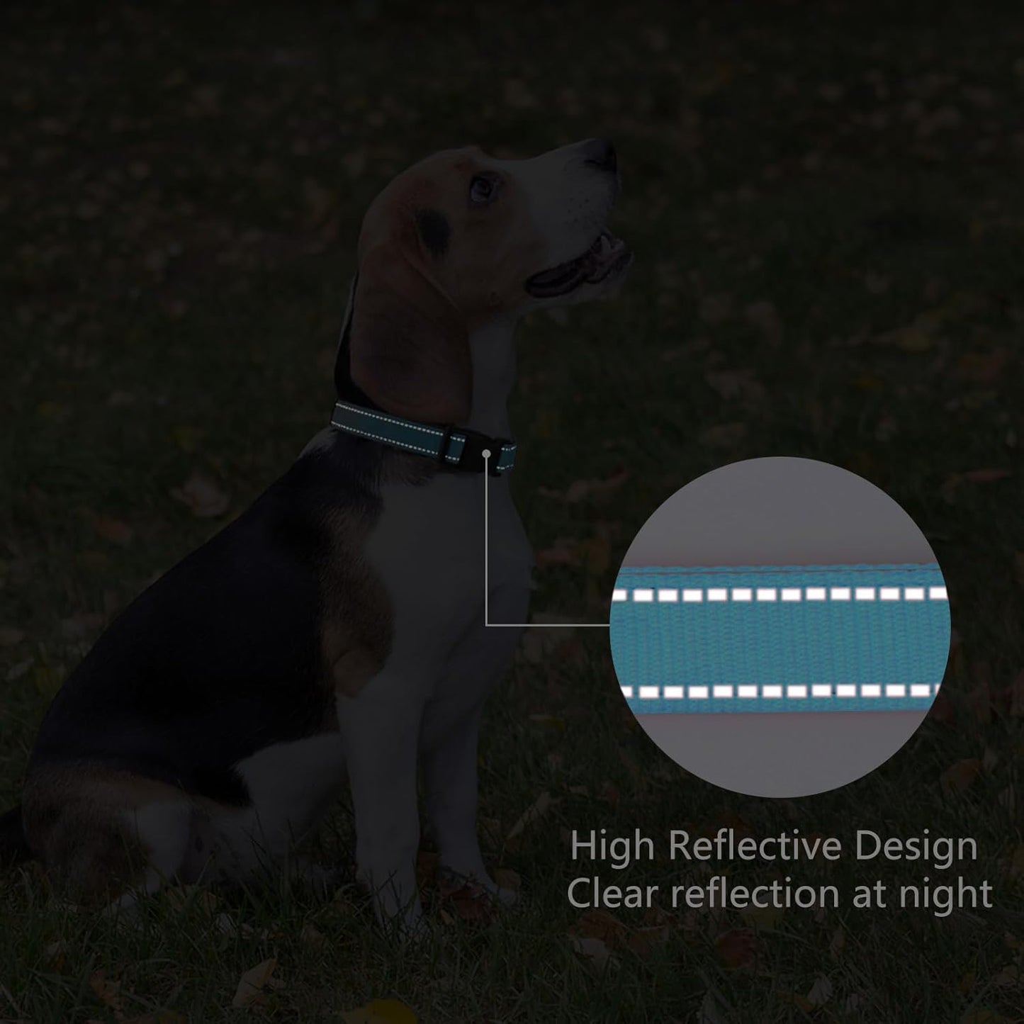Reflective Dog Collar Padded with Soft Neoprene Breathable Quick Release Basic Dog Collars for Large Dogs Sky Blue Boy