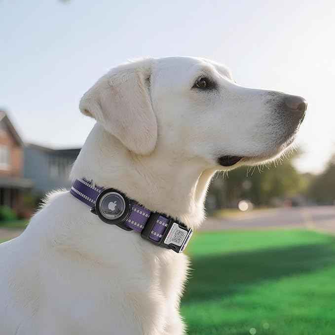 Dog Collar with AirTag Holder, Reflective Dog Collar, Soft Neoprene Padded & Safety Locking Buckle Adjustable Pet Collar (Purple, S)