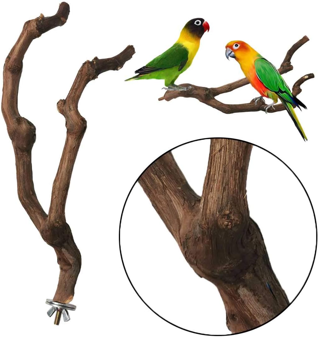 PINVNBY Natural Parrot Perch Bird Stand Pole Wild Grape Stick Paw Grinding Fork Parakeet Climbing Standing Branches Toy Chewable Cage Accessories for Small Lovebirds Budgies Cockatiels 2PCS