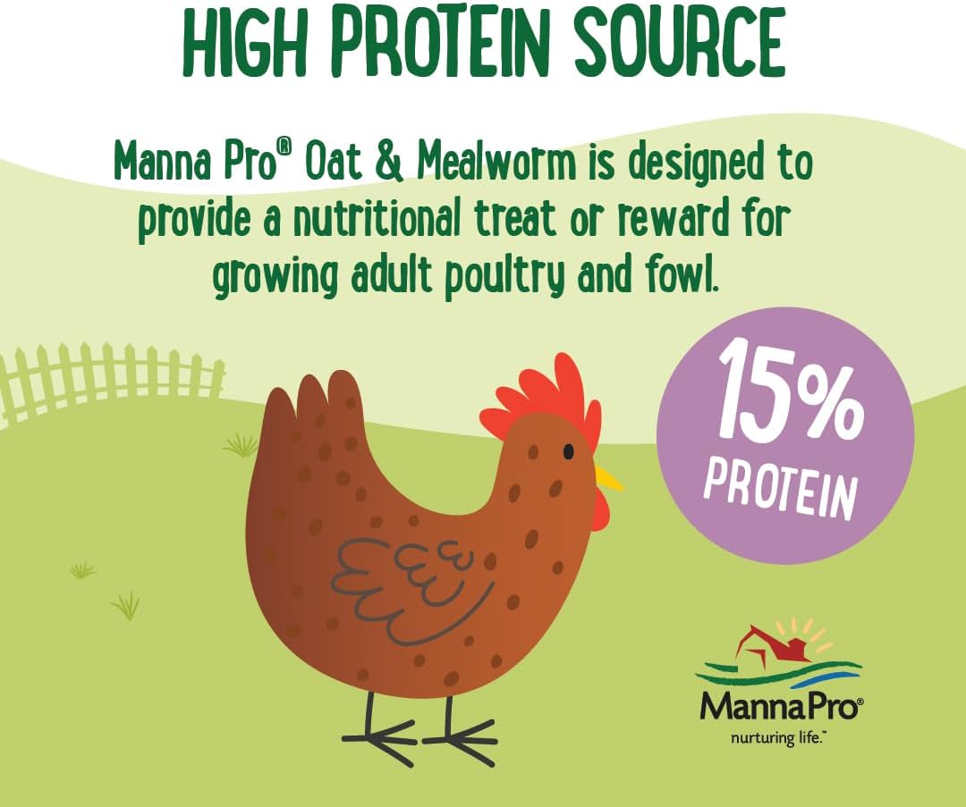 Manna Pro Farmhouse Favorites Oat & Mealworm Mix Poultry Treat – Natural Protein Source – Encouraging Poultry Treat – Mix of Oats, Peanuts, Raisins, Mealworms, Sunflower Kernels – 2lbs