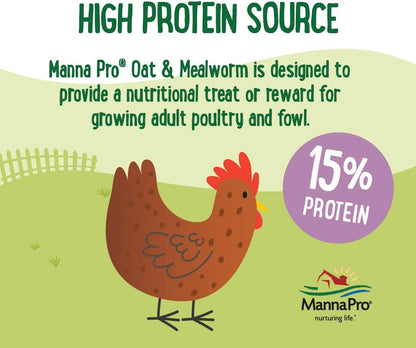 Manna Pro Farmhouse Favorites Oat & Mealworm Mix Poultry Treat – Natural Protein Source – Encouraging Poultry Treat – Mix of Oats, Peanuts, Raisins, Mealworms, Sunflower Kernels – 2lbs