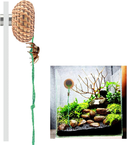 1 Pcs Jumping Spider Accessories，Shelter Made of Cane, Essential for Jumping Spider Hide, Enclosure, and Tarantula Enclosure Accessories