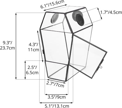 NCYP Gothic Glass Enclosure for Jumping Spider, Snails, Insects - Front Opening Door Geometric Cactus Plants Terrarium with Vent Holes, Indoor Tabletop Coffin Shape Decor, Black (Terrarium Only)