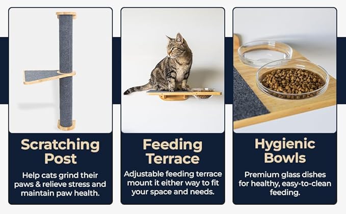 Cat Wall Shelves – Cat Wall Climber with Cat Scratch Post, Removable Bed, Climbing Steps, and Feeding Terrace with Glass Bowls, Waterproof Rubberwood Pet Furniture