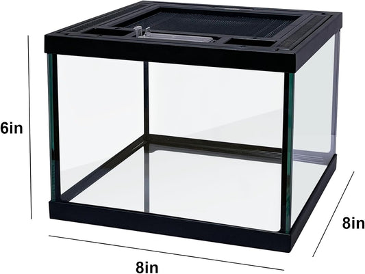 Mini Reptile Glass Terrarium Tank 8 * 8 * 6" Full View, Amphibians Box Habitat Enclosure Cage for Frog,Spiders,Dubia Cockroach,Praying Mantis,Cricket,Tarantula,Hermit Crab