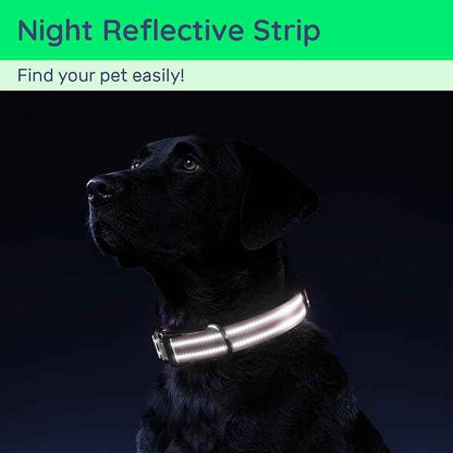 Airtag Dog Collar with QR Code, Reflective Dog Collar with Airtag Holder, Soft Padded & Safety Locking Buckle Adjustable Pet Collar for Medium Dogs