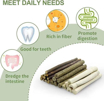 300g Guinea Pig & Rabbit Chew Toys with Apple & Timothy Sticks - Prevent Overgrown Teeth with Sweet Bamboo Treats - Ideal Rabbit Treats Included!