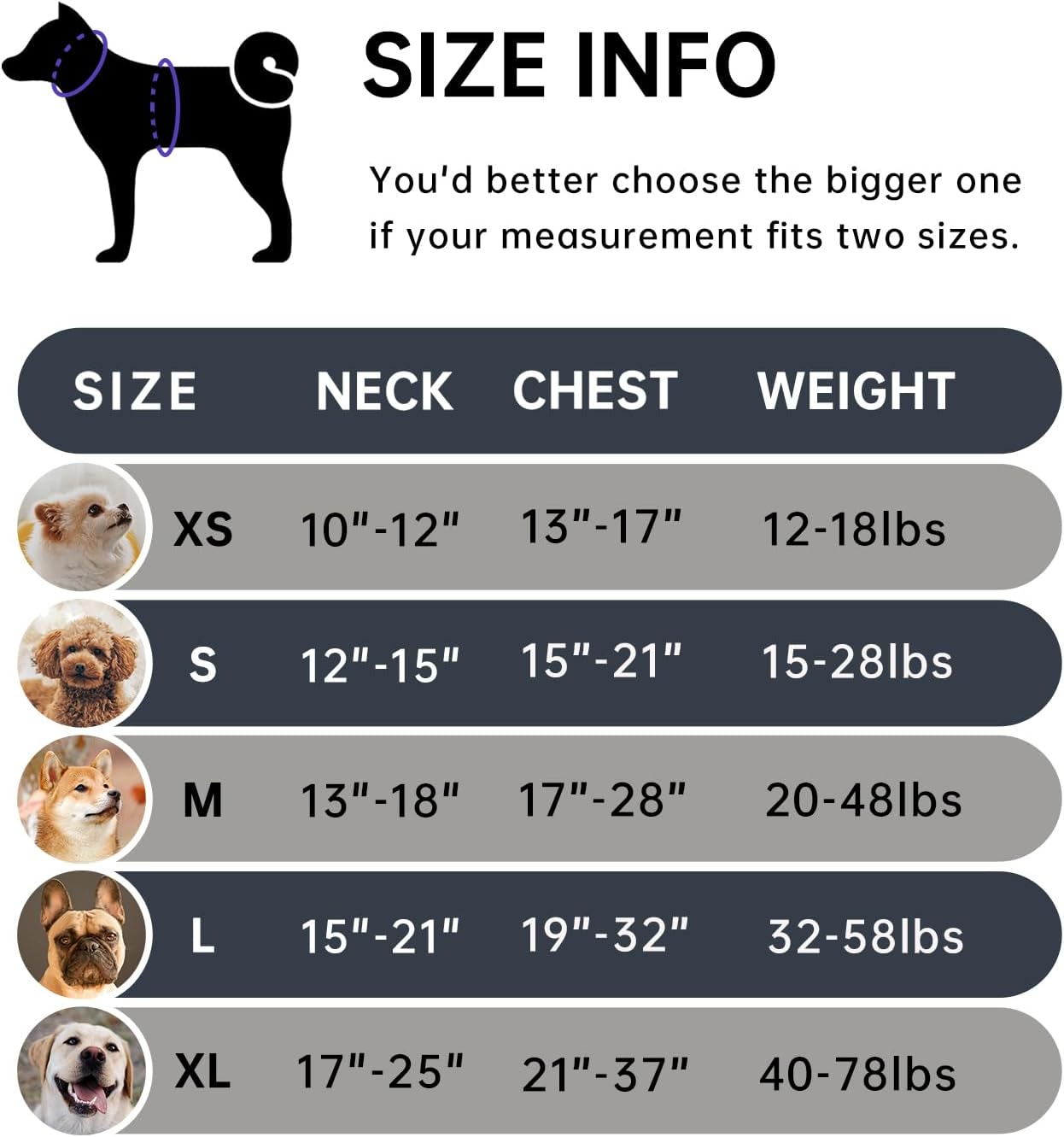 IVY&LANE No Pull Dog Harness for Large Dogs, Dog Vest Harness with Leash, Safety Belt and Storage Strap, Fully Adjustable Harness, 360° Reflective Strip, Soft Handle (Black, L)