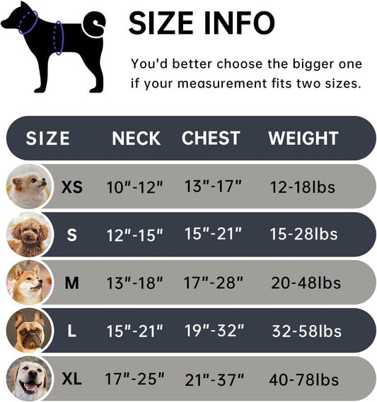 IVY&LANE No Pull Dog Harness for Large Dogs, Dog Vest Harness with Leash, Safety Belt and Storage Strap, Fully Adjustable Harness, 360° Reflective Strip, Soft Handle (Black, L)