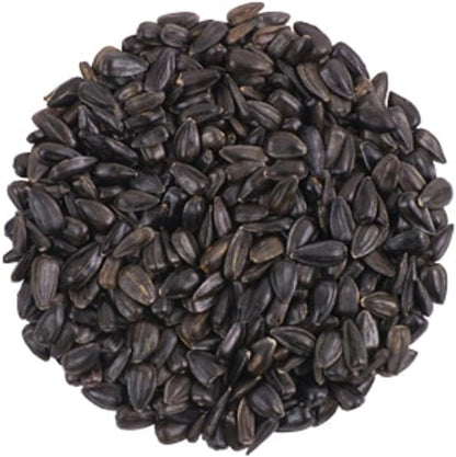 CountryMax Backyard Seeds Black Oil Sunflower (25 Pounds)