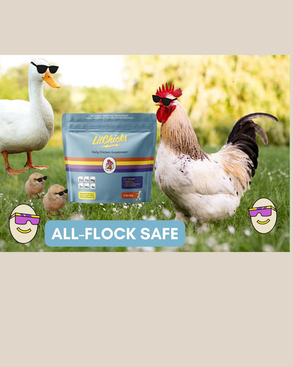LitChicks’ Calcified Seaweed for Laying Chickens - Crushed Oyster Shell Alternative - Highly Digestible - Single Ingredient - Helps with Egg Laying & Flock Health.