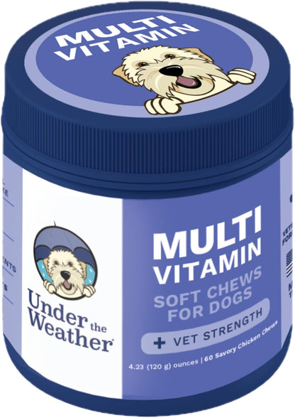 Under the Weather Multivitamin for Dogs | Vet Formulated Daily Canine Health Supplies for Immunity, Skin, Coat & Joint Support | All-in-One Multivitamin for Dogs of All Breeds & Sizes | 60 Count