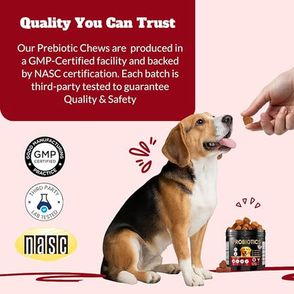 Dog Probiotics Chews Supplement – Digestive Support & Gut Health for Dogs, Helps Loose Stool, Gas & Sensitive Stomachs, Supports Itchy Skin, Allergy & Immune Health – 120 Ct