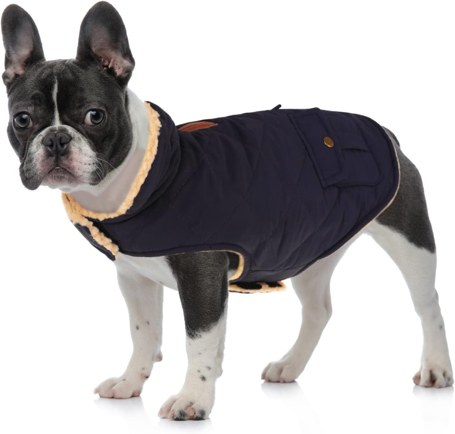 Queenmore Warm Dog Coat, Cold Weather Puffer Dog Jacket with Ultra Thick Plush Lining, Storage Pockets (Dark Navy, Medium)
