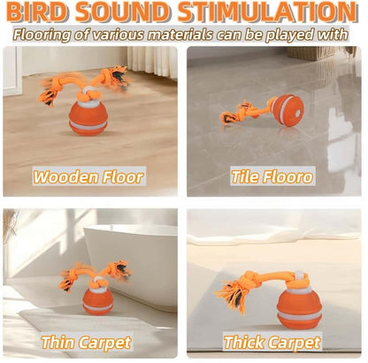 Interactive Dog Toys, Squeaky Dog Toys, Active Rolling Ball for Puppy and Medium Dogs, Squeaky, USB Rechargeable (Orange+Blue)