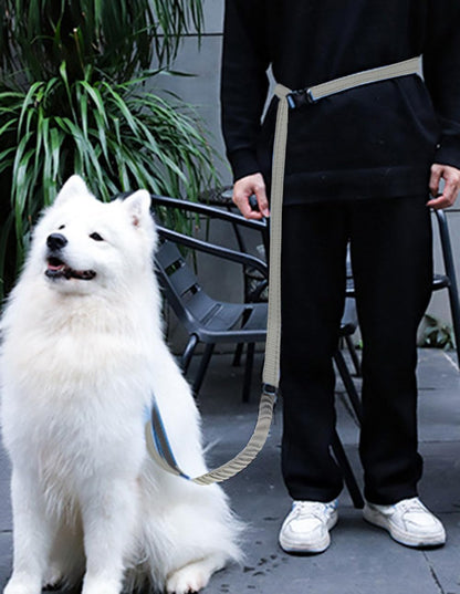 Hands Free Dog Leash for Large Medium Dogs Heavy Duty Bungee Reflective Adjustable Waist Leashes for Walking Running with Car Buckle 4-6FT (Grey)