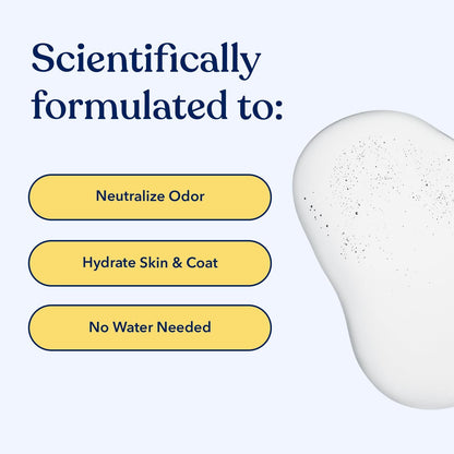 Honest Paws Dog Dry Shampoo - Waterless No Rinse Spray Formula Reducing Itch Cleanse Hydrate Nourish Dry Skin and Smelly Coat Help Decrease Odor Shedding and Allergies - Oatmeal & Lavender - 16 oz