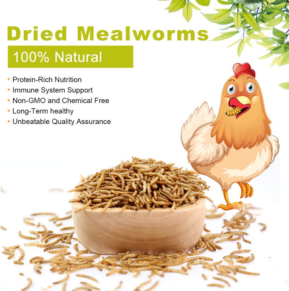 Bulk Mealworms 11Lbs, High-Protein Dried Mealworms, 100% Non-GMO Mealworm Treats for Birds, Chickens, Turtles, Fish, Hamsters and Hedgehogs All Natural Animal Feed