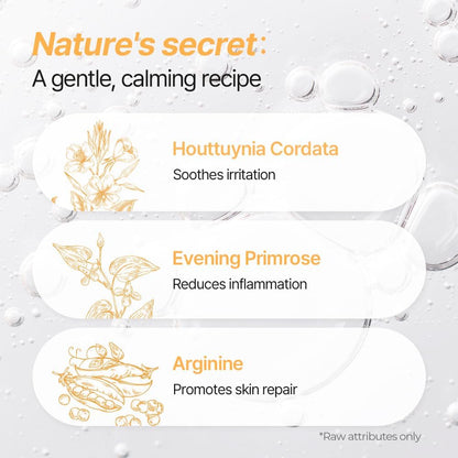 PetO’Cera All-in-One Cat Shampoo and Conditioner | Hypoallergenic Cat Skin & Coat Care | Itch Relief, Moisturizing & Rejuvenating | Veterinarian Approved and Formulated (10.1oz, 300ml)