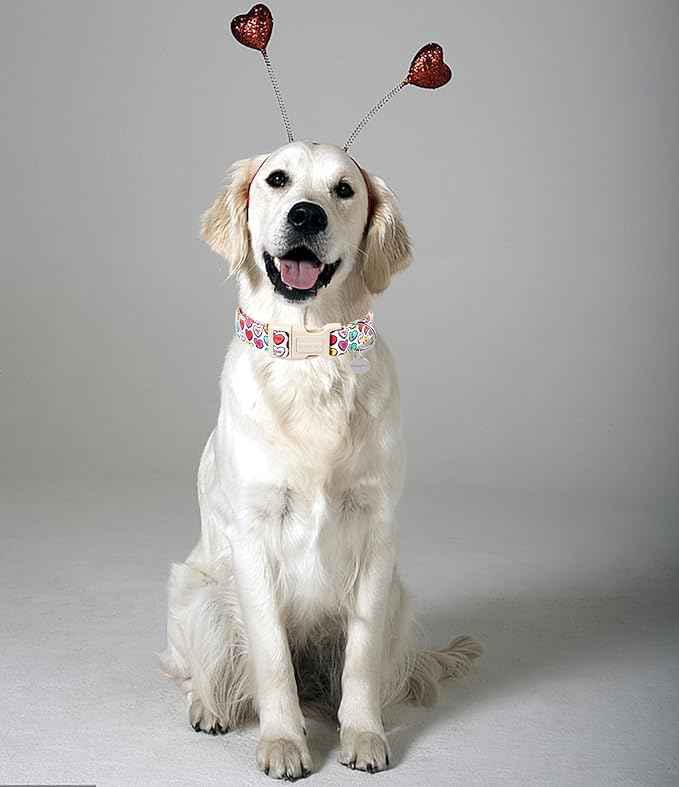 DOGWONG Valentine's Dog Collar, XL Heart Candy, Soft Cotton, Adjustable, Valentine's Day Design, Small & Medium Dogs