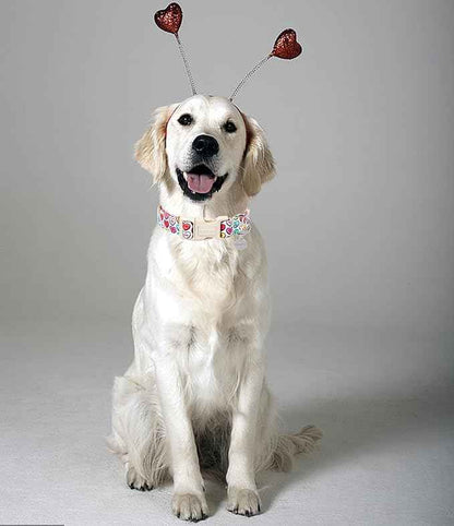 DOGWONG Valentine's Adjustable Heart Candy Dog Collar for Small Medium Dogs