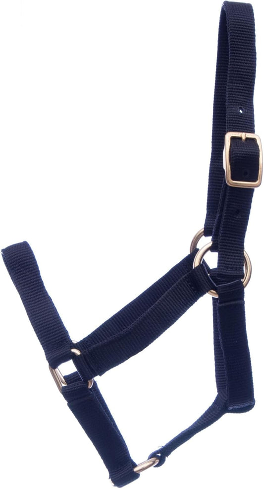 Jeffers Equine Mini Horse Halter – 3/4" Nylon Adjustable Halter for Miniature Horses, Ponies, Under 200 lbs – Heavy Duty Hardware, Secure Fit for Training, Turnout, Grooming, Travel – Black