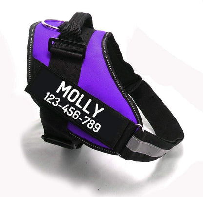 PawPawify Custom No Pull Dog Harness with Name and Phone Number, Heavy Duty Personalized Pet Vest to Prevent Tugging, Pulling, or Choking, Training and Walking (Purple, XL (60-85 LBS))