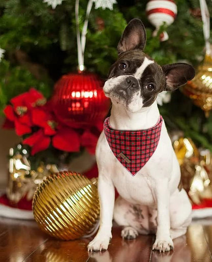 Lionet Paws Reversible Washable Cotton Dog Bandana - Red & Tree Patterns, Adjustable Square Kerchief for Small to Large Dogs