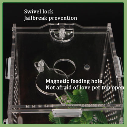 8x4x4 Inch Modern Rectangular Acrylic & Polycarbonate Vivarium for Tarantulas, Lizards, Snakes, Geckos, Jumping Spiders, Snails, Insects