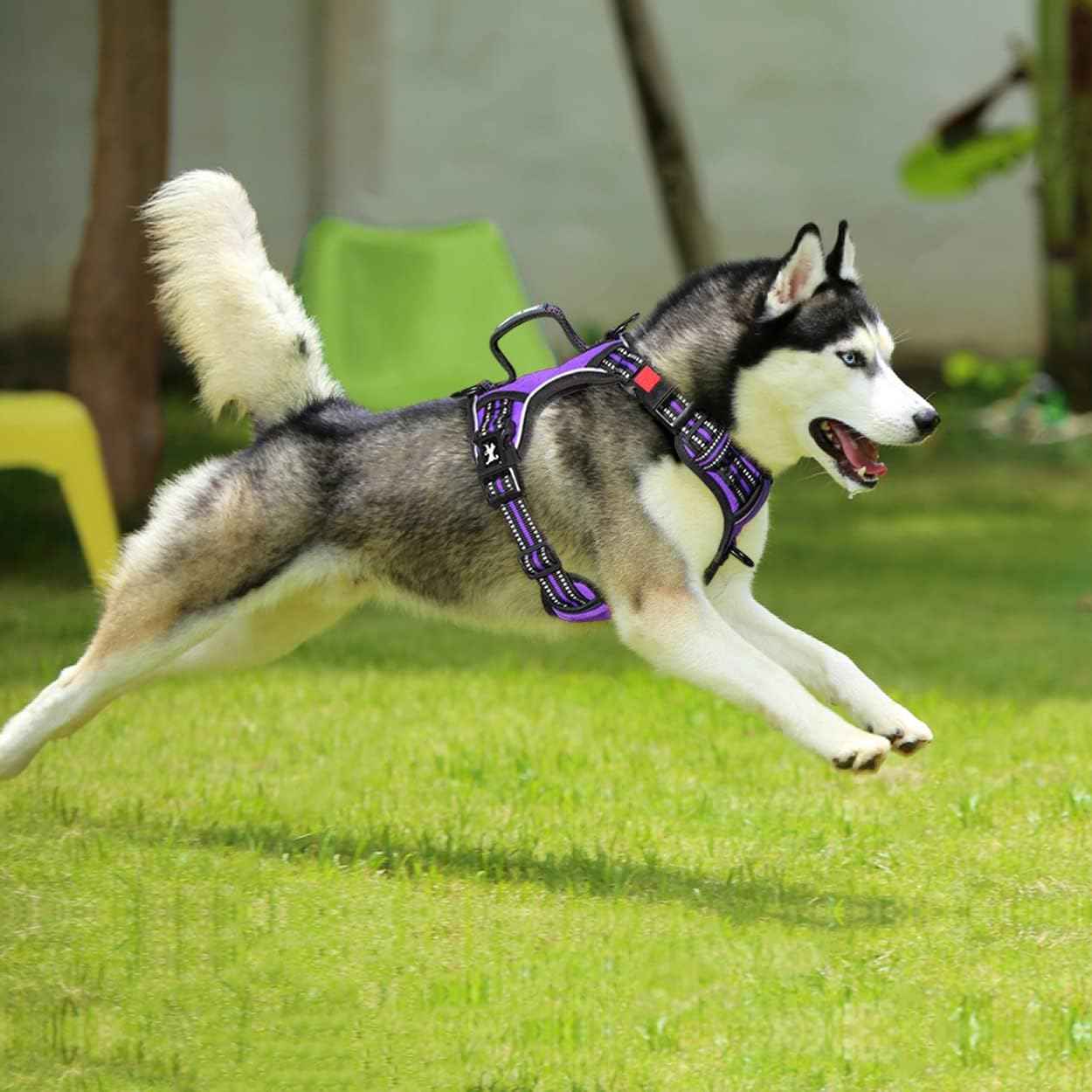 PoyPet No Pull Dog Harness, No Choke Front Clip Reflective Dog Vest with Soft Padded Vertical Handle, 3 Leash Attachments for Small Medium Large Dogs (Purple,L)