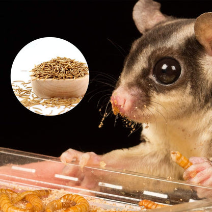 Dried Mealworms, High-Protein Bulk Mealworms 22Lbs, 100% Non-GMO Mealworm Treats for Birds, Chickens, Turtles, Fish, Hamsters and Hedgehogs All Natural Animal Feed