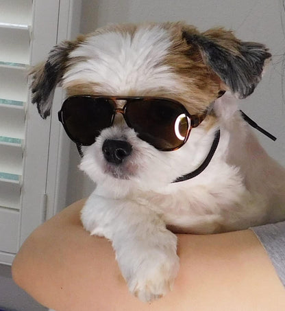 G029 Dog Cat Pet Aviator Pilot Sunglasses Glasses for Small Breeds up to 15lbs (2-Pack Black + Tortoise Brown)