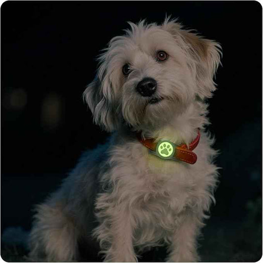 Waterproof Dog Collar AirTag Holder,Stretchy Silicone Full Body Covered AirTag Holder for Dog Cat Collars (Black-Luminous)