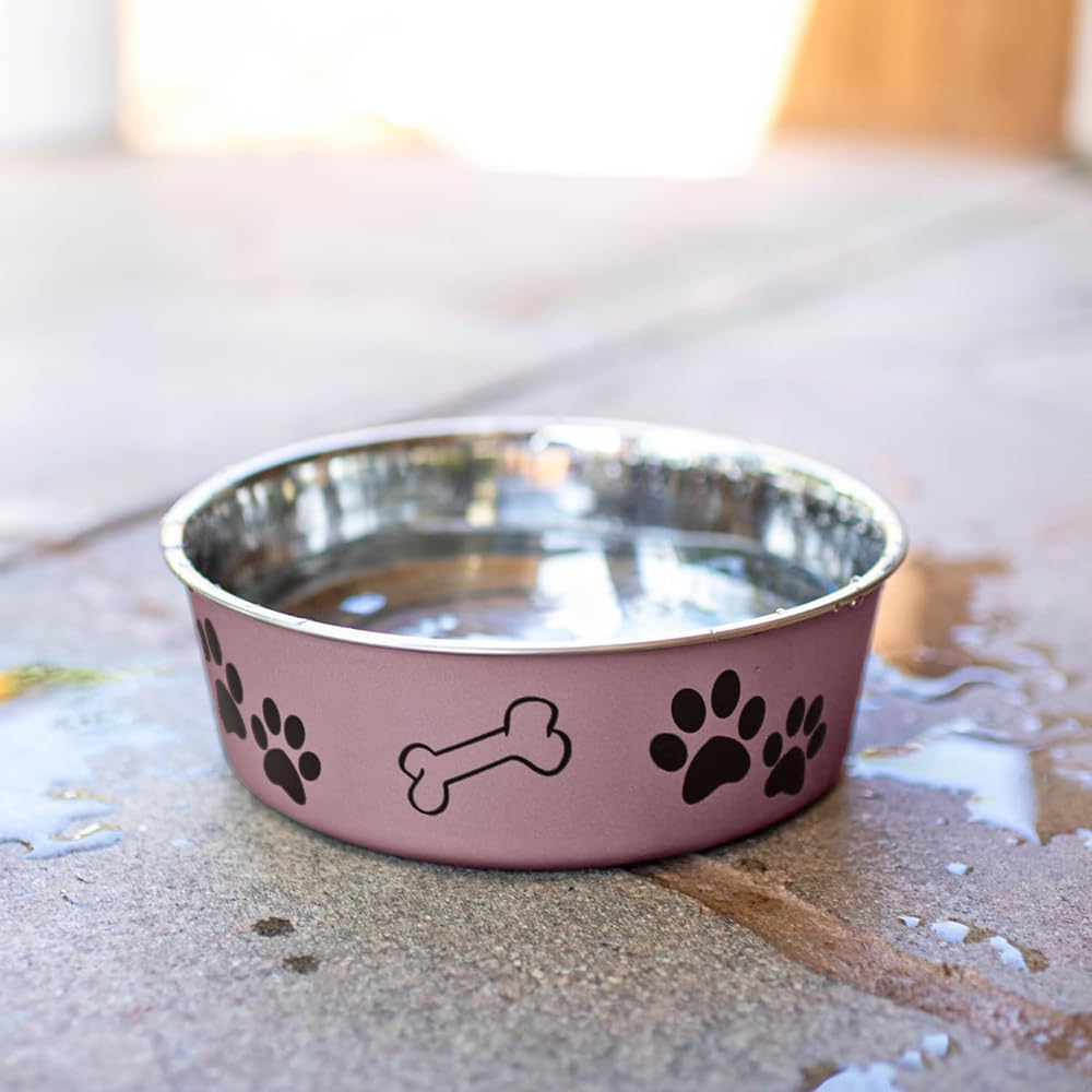 Loving Pets Bella Dog Bowls- Stainless Steel Dog & Cat Bowls - Spill Proof Dog Food Bowl, Cat Bowl, Puppy Essentials & Pet Supplies Great for Home & Travel (Small 10-20 lbs, Grape)