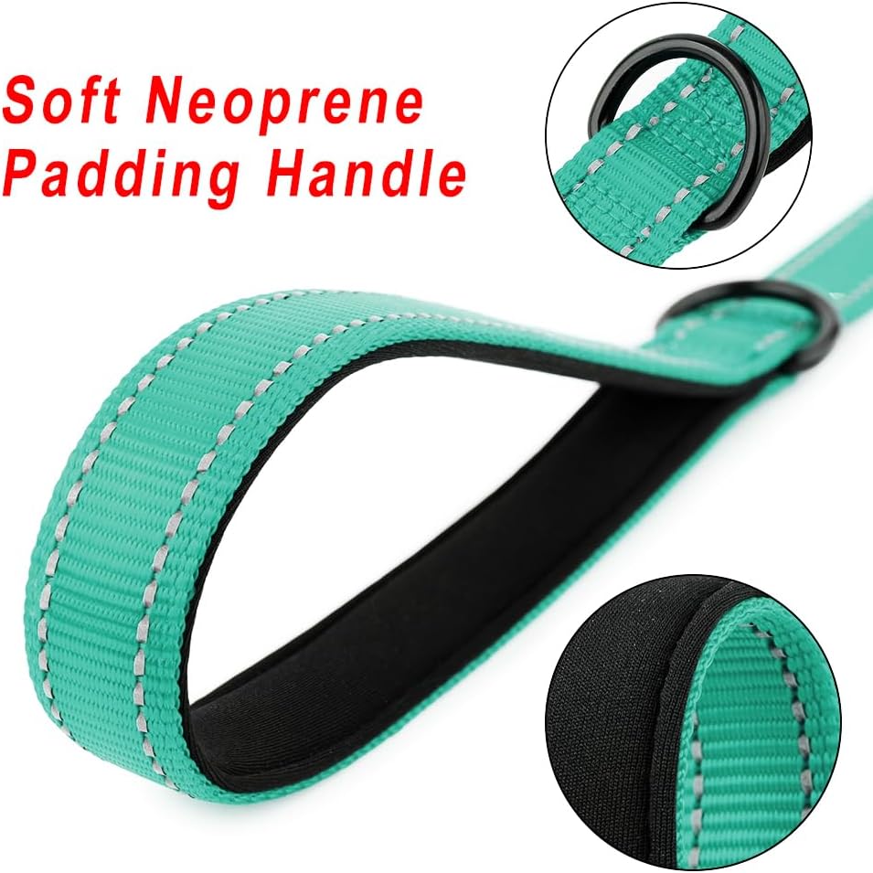 PLUTUS PET Short Training Dog Leash with Padded Handle for Medium Large Dogs,18 Inch Heavy Duty Strong Traffic Leash with Carabiner Clip for Climbing Walking or Guiding Blind(18”，Teal)