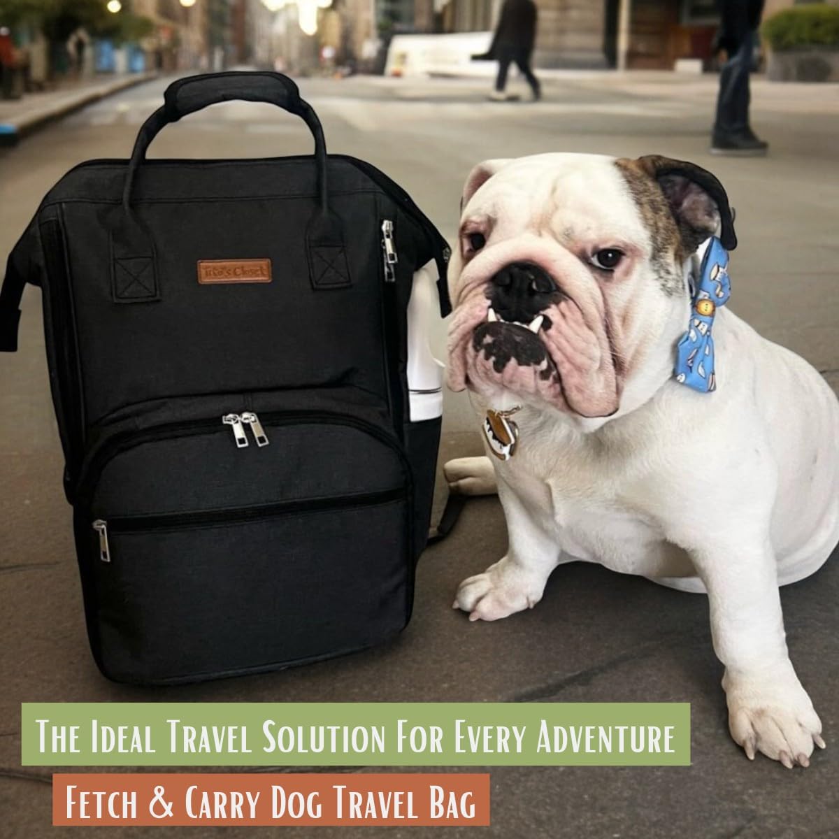 Tito's Closet Dog Travel Bag Includes Dog Travel Accessories 2-Pack Dog Travel Bowl, 2 Dog Food Containers, Dog Treat Bag (Black), DB2024 - Pawvie