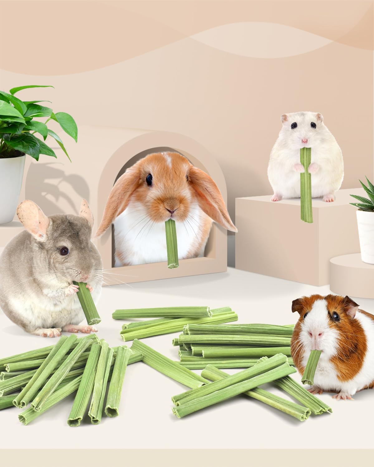 Bissap 50PCS Rabbit Chew Sticks, Natural Papaya Stems Bunny Chews Treats for Rabbits Hamsters Chinchillas Guinea Pigs Small Animals Organic Molar Chewing Snack